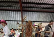 Second Time Around upcycling, reusing exhibit results from Kingscote Show