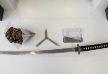 36 cannabis plants, flick knife, samurai sword, ammunition seized at Kingscote address