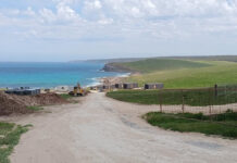 Letter: Coming to a backyard near you