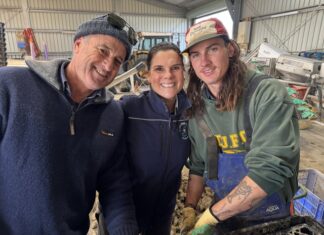 Visitors, local supporting KI Oysters during ongoing algal bloom