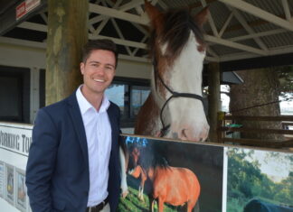Victor Harbor Horse Tram on life support thanks to algal bloom