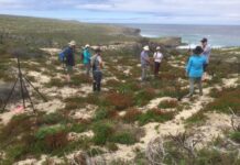 KI’s Friends of Parks declare victory in Flinders Chase development saga