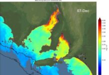 Emu Bay jetty records only elevated Karenia algae levels in regional SA