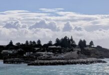 Concern for nesting penguins as breakwater repaired at Penneshaw ferry terminal