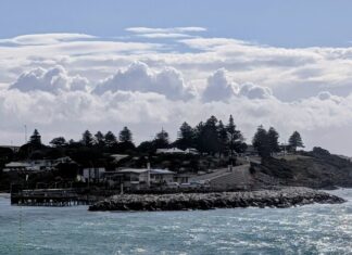 Concern for nesting penguins as breakwater repaired at Penneshaw ferry terminal