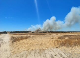 Haines fire southwest of American River downgraded to ‘Stay Informed’