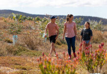 KI Landscape Board offers free Ladies Day Luncheon at Springs Road Winery