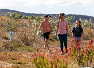 KI Landscape Board offers free Ladies Day Luncheon at Springs Road Winery