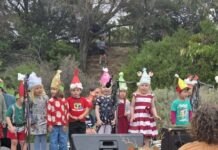 Penneshaw Progress Association announces grant recipients at carols