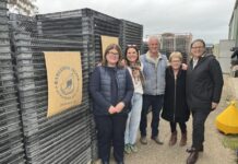 Coastal tourism businesses to welcome boost in bookings from today