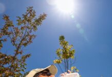 35 degrees forecast for KI today; heatwave survival tips from SES