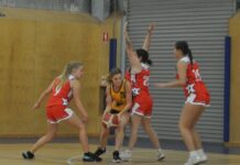 Kangaroo Island Basketball is back for the summer: PHOTOS
