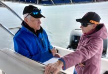 KI Dolphin Watch has concerns about new marine mammal drone study