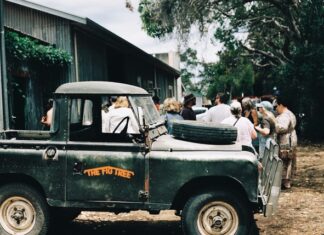 The Fig Tree KI not to be missed this summer with ‘Feast! Vol. 2’