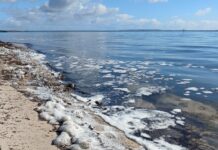 SA government says state on track to reach key climate targets