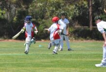 Parndana hosts Hog Bay in Junior cricket: PHOTOS