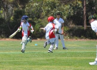 Parndana hosts Hog Bay in Junior cricket: PHOTOS