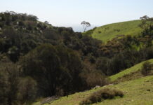 60-pod Katharsis development causing trauma: Letter