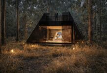 Six questions for proponent of Katharsis KI development proposal