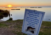 ‘Critically Endangered’ listing of Lower Murray river system is a wake up call