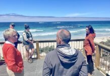 Extreme fire danger rating triggers closure of Seal Bay Conservation Park