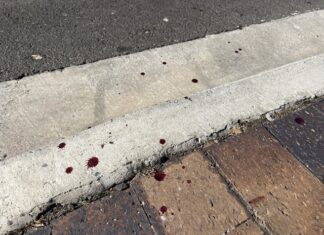 Man arrested over attempted murder in Victor Harbor