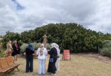 New York Times shines a global spotlight on Kangaroo Island