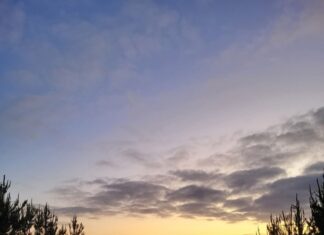 New Year’s Eve 2025 wrap up from SA Police