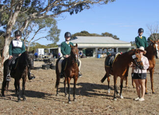 $1.4 million for SA sport and recreation clubs to kickstart 2026 season