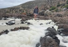 Research and Discovery Coastal Tours gives KI algal bloom update