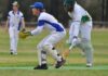Senior cricket action from Wisanger: PHOTOS