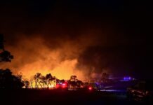 Rural Aid urges drought, fire, flooding-stricken farmers to register immediately for support