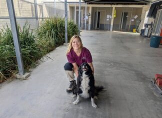 Twig gets holiday at excellent KI Veterinary Clinic boarding facility