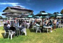 SeaLink celebrates two decades in the saddle supporting KI Racing Carnival