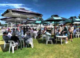 SeaLink celebrates two decades in the saddle supporting KI Racing Carnival