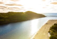 Last chance: enter now for February Dining Cashback draw