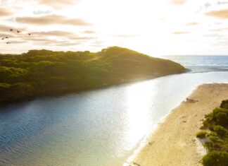 Last chance: enter now for February Dining Cashback draw