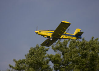 Letter: Insecticide sprays wreak havoc on KI’s ecology