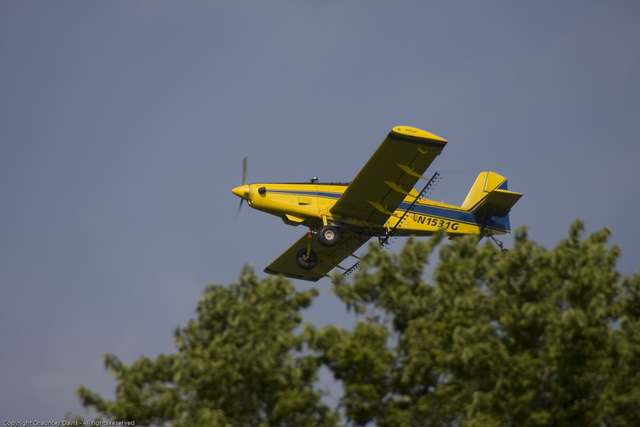 Letter: Insecticide sprays wreak havoc on KI’s ecology