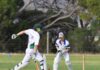 Junior cricket at Wisanger: PHOTOS