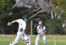 Junior cricket at Wisanger: PHOTOS