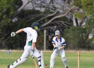 Junior cricket at Wisanger: PHOTOS