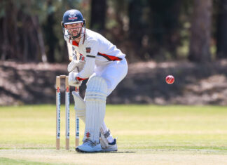 Harris to lead Great Southern’s Meyer Shield squad for KI tournament