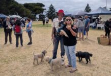 Locals and visitors having fun at the Penneshaw markets: PHOTOS