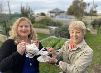 Have your say on vital mental health law reforms for South Australia