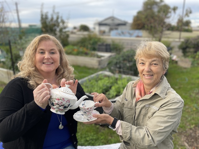 Have your say on vital mental health law reforms for South Australia