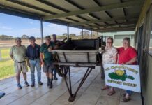 Sporting clubs encouraged to attend Racing at the Cygnet