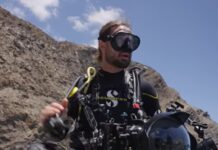 Great Southern Reef Foundation inspects north coast devastation