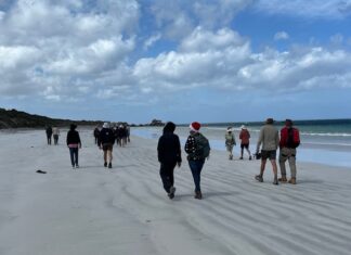 KI Walking Club celebrates the season at D’estrees Bay