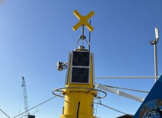Oyster harvesting reopens after algae levels decline